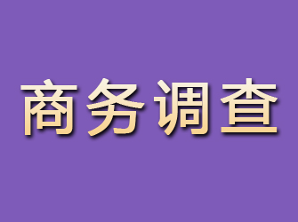 阳泉商务调查